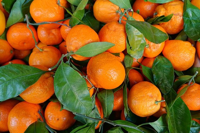 800px-Satsuma_mandarins_-_San_Francisco,_CA_-_DSC02398