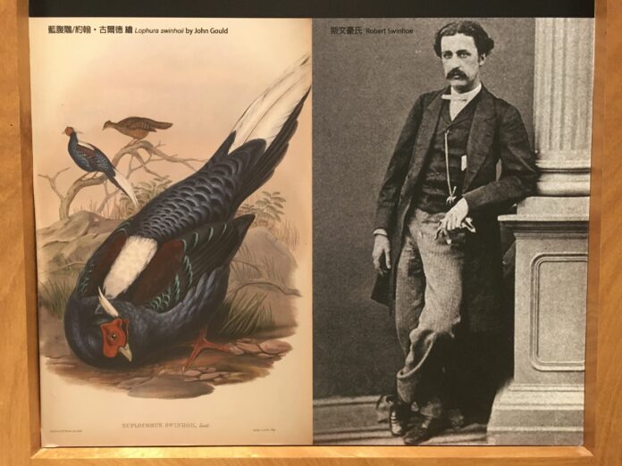 La branche du Parc Nanen du Musée nationa de Taiwan propose, jusqu'en mai 2021, une exposition temporaire consacrée aux illustrations naturalistes (Image : RTI - Lisa Duffaud - Avec l'aimbale autorisation du Musée national de Taiwan)